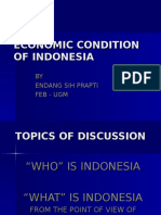 Economic Condition of Indonesia