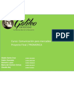 Proyecto Final Promerica PDF