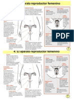 Sistema r Fem