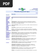 Glossario Embrapa Pimenta