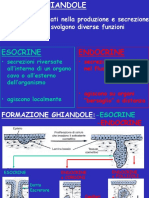 2015 Ghiandole Esocrine PDF