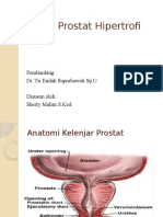 Cara Mengatasi Benigna Prostat Hipertrofi Secara Alami