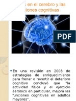 Efectos en El Cerebro y Las Funciones Cognitivas