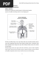 Ujian Formatif Sains Tingkatan 3 Peredaran Darah Dan 