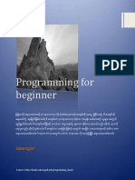 Programming For Beginner
