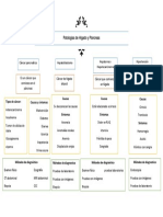 Mapa Conceptual