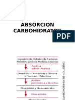 Absorción de Carbohidratos
