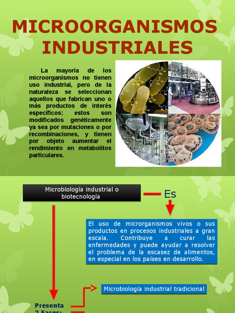 Microorganismos en la Industria | PDF | Microorganismo | Las bacterias