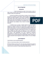 110584536-Charla-de-Casco-Seguridad.pdf