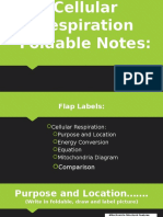 cellular respirtation foldable notes- 2016