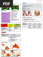 Download Adrenal Gland Pathology by GerardLum SN32630007 doc pdf