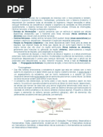 Resumo Sistema Nervoso PDF