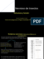 Sistema Nervioso Insectos y Toxicología. 2011. Gastón Mougabure Cueto
