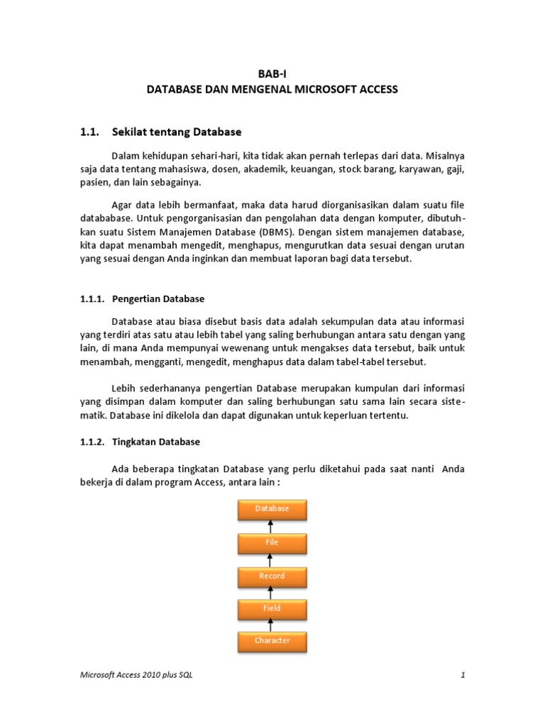 Ebook Ms Access 2010 PDF