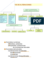 Alteraciones Cromosomicas