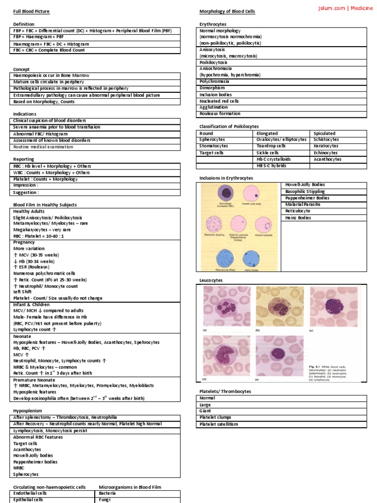 Full Blood Picture Platelet Red Blood Cell