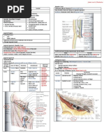 Download Gross Anatomy Inguino Scrotal Region by GerardLum SN32632156 doc pdf