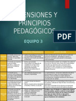 Dimensiones y Principios Pedagógicos