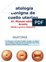 Patologia Benigna de Cervix - Ginecologia