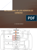 Metabolismo+de+los+Carbohidratos.pdf