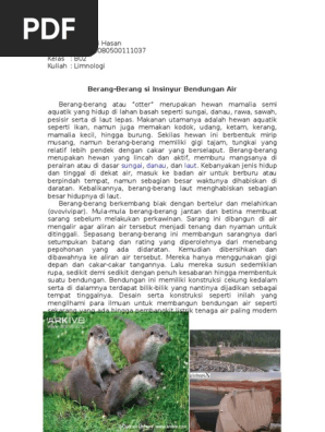 Insinyur Berang Berang