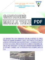 Clase 7 Gaviones