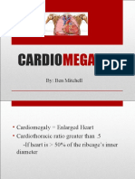 Cardiomegaly 110228085830 Phpapp01