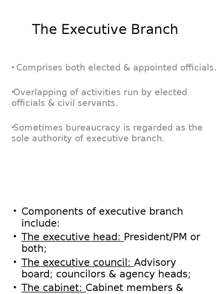 The Executive Branch PDF (Government) Parliament