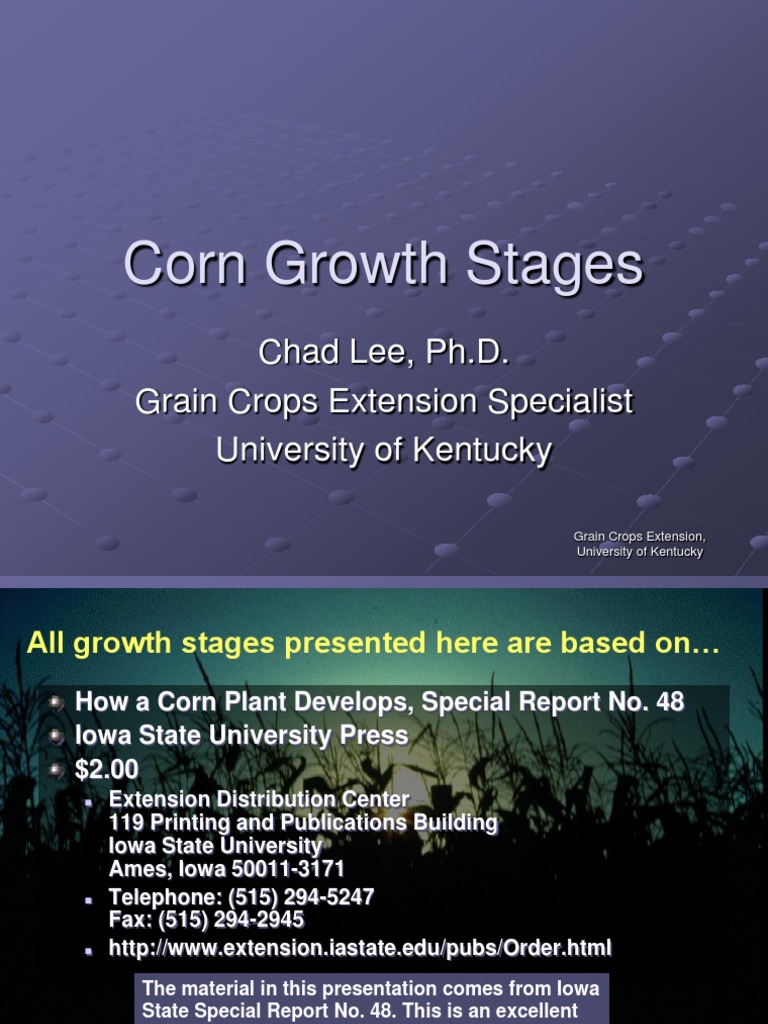 Corn Growth Stages PDF Seed Maize