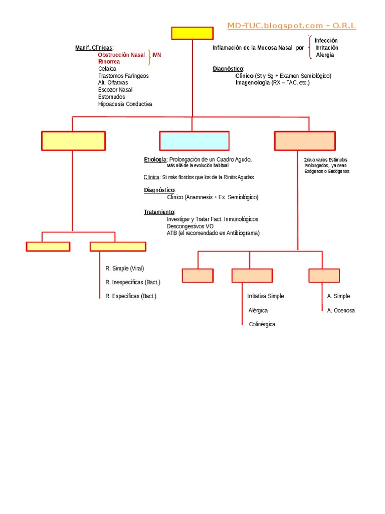 RINITIS y SINUSITIS PDF Alergia Enfermedades