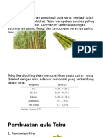 Tumbuhan Penghasil Gula 