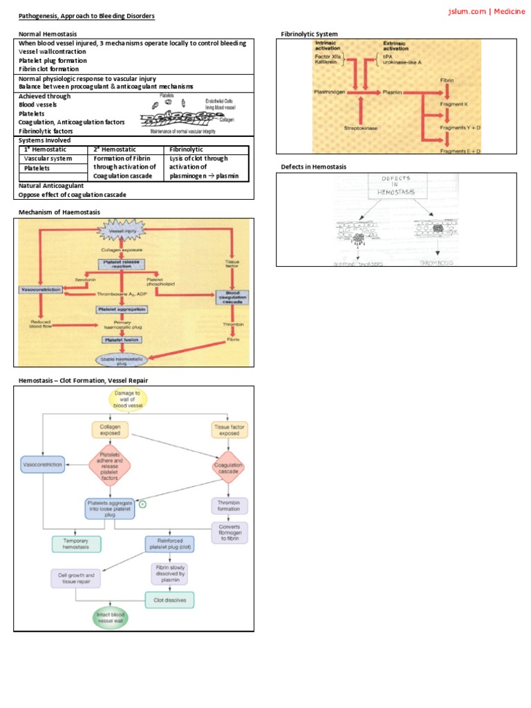 Pathogenesis Bleeding Disorders | PDF | Coagulation | Platelet