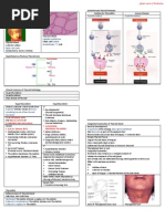 Download Pathology of Thyroid Diseases by GerardLum SN32635141 doc pdf