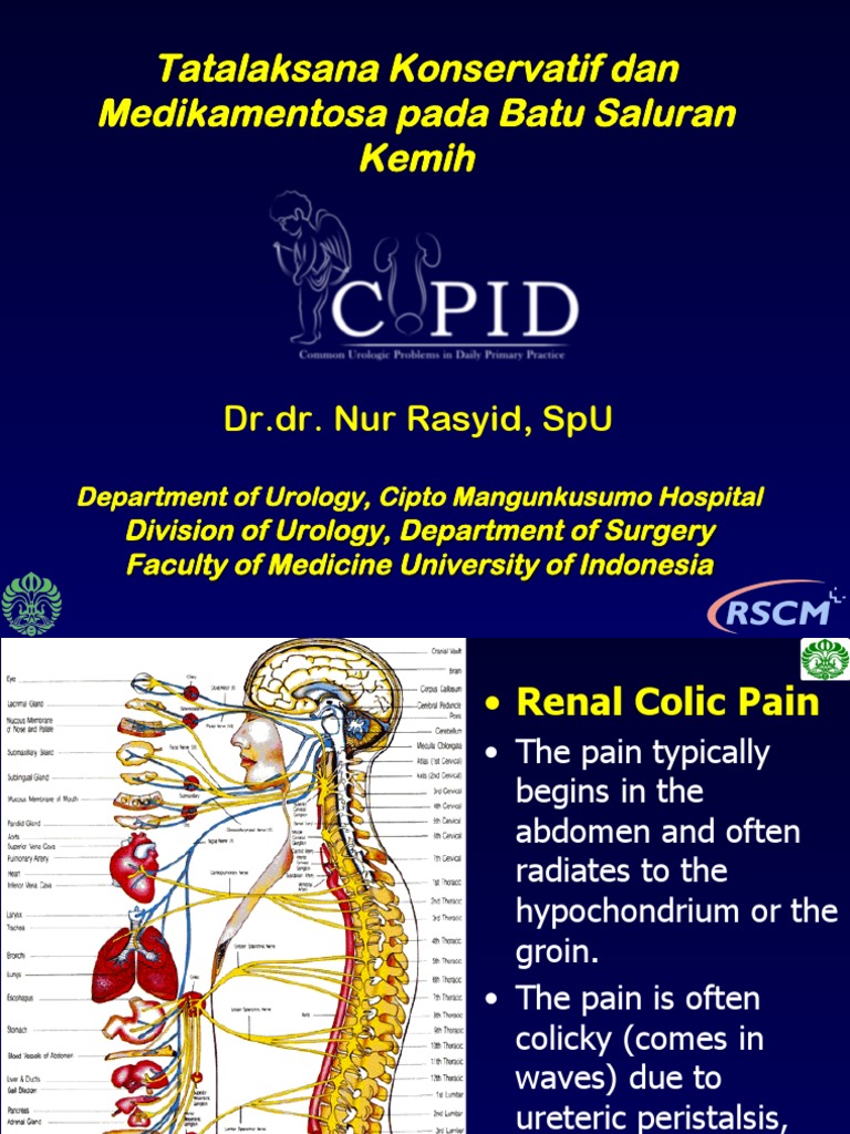Terapi Konservatif Dan Medikamentosa BSK Clinical Terapi Konservatif Dan Medikamentosa BSK Clinical