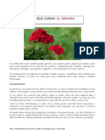 el_geranio__1_.pdf
