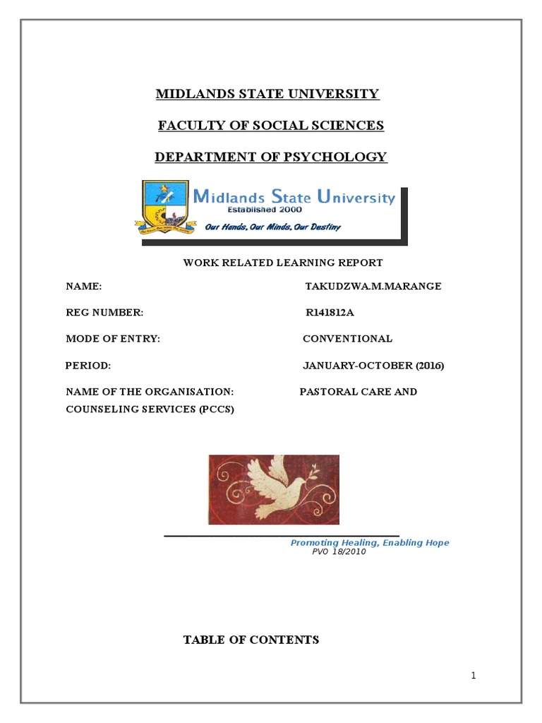 MSU Work-Related Learning Report | PDF | Psychotherapy | Board Of Directors