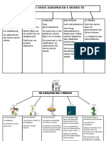 Esquema Seres Vivos