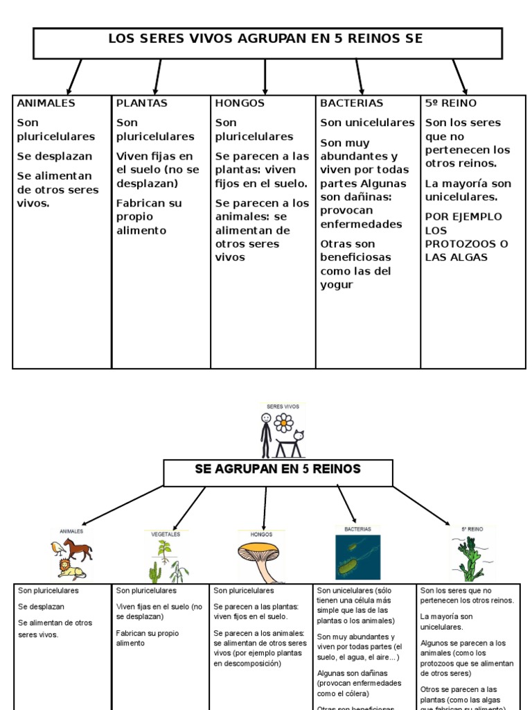 Clasificación de los Seres Vivos en 5 Reinos | PDF | Hogar, jardinería y  bricolaje | Salud y bienestar