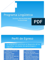 Programa Lingüística.pptx