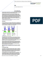 Pediatric Imperforate Hymen - Background, Anatomy, Pathophysiology