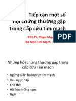 Tiếp cận một số hội chứng thường gặp trong cấp cứu tim mạch PDF