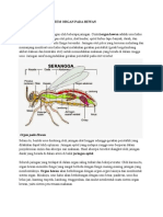 Organel Sel Hewan Dan Fungsinya