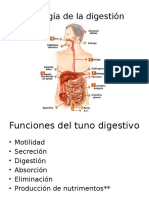 Fisiología de La Digestión