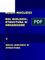 ADN Rol Structura Organizare