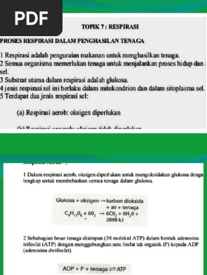 Bab 7 Bio Form 4 Pdf