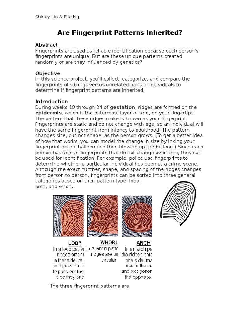 Are Fingerprint Patterns Inherited | PDF | Fingerprint | Sibling