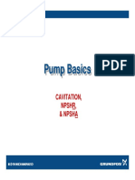 Basics Cavitation.pdf