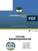 Ciclos Biogeoquimicos