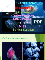 Las Medusas