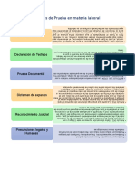 Medios de Prueba en Materia Laboral